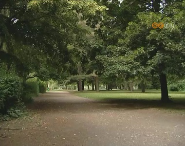 Megkezd�d�tt a kullancsszezon