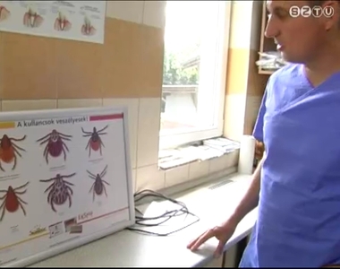 Megkezdődött a kullancsok őszi rajzása