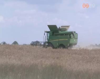 Hagyományosan Péter-Pál napján elkezdődött a gabona betakarítása Hagyományosan Péter-Pál napján elkezdődött a gabona betakarítása