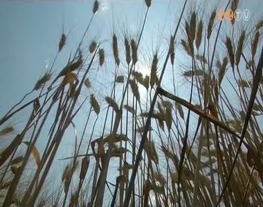 Agr�rt�mogat�sok