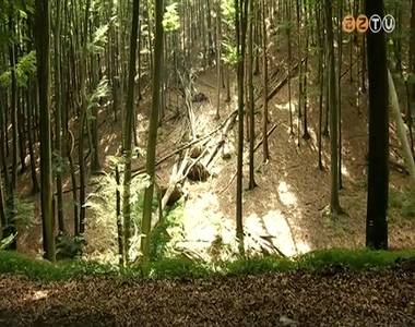 Vas megy�ben is van �serd�