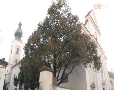 Rengeteg program a Szent M�rton-eml�k�vben