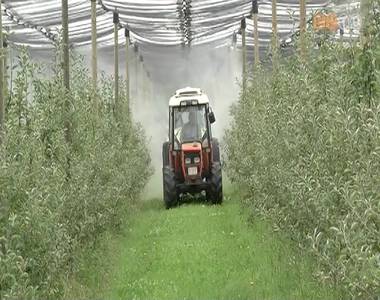 F�ltik az alm�t a termel�k