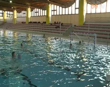 Feljutottak az élvonalba az Aligátorok Feljutottak az élvonalba az Aligátorok