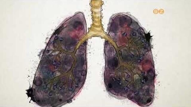 Az EFI szakemberei kiemelten fontosnak tartj�k a doh�nyz�sr�l leszok�st seg�t� programot