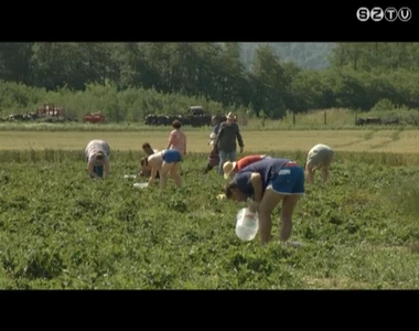 Egyre n�pszer�bbek a Szedd Magad! akci�k