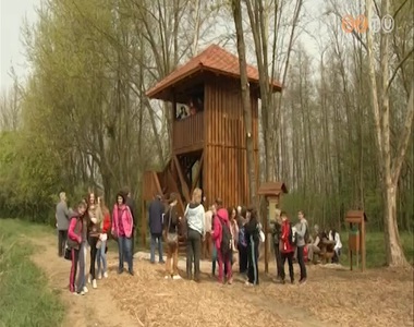 �tadt�k a Szombathelyi Erd�szet �jabb k�zj�l�ti beruh�z�s�t