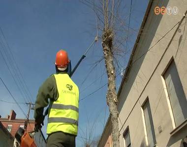 Téli munkák utcákon, parkokban Téli munkák utcákon, parkokban