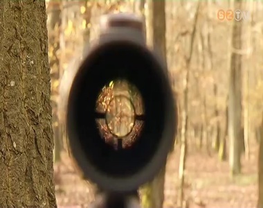 Megkezd�dtek a t�li hajt�vad�szatok