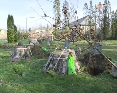 Ism�t 13 kocs�nyos t�lgy �rzi az aradi 13-ak eml�k�t a r�t�ti parkban