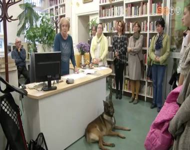 A kutya mint családtag A kutya mint családtag