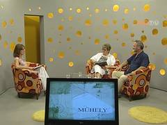 Műhely - 2017. július 25. Műhely - 2017. július 25.