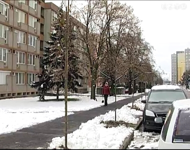 Fákat ültettek a városban