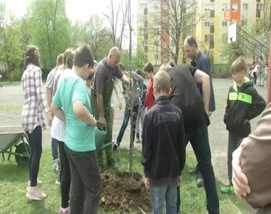 Fákat ültettek a Váci-iskola udvarára Fákat ültettek a Váci-iskola udvarára