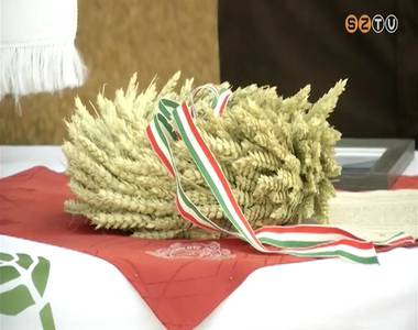 Országszerte befejeződött a kalászos gabona betakarítása Országszerte befejeződött a kalászos gabona betakarítása