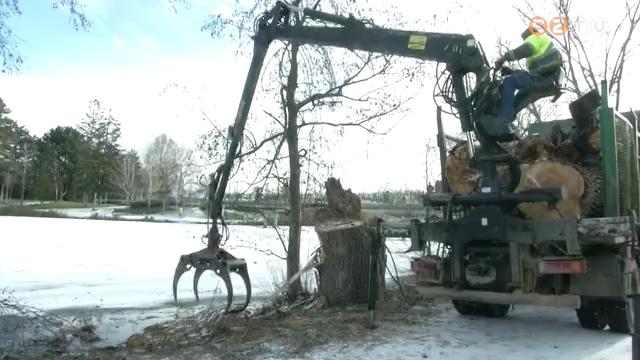 Padokat jtanak fel s veszlyess vlt fkat vgnak ki a Csnakzt szigetn