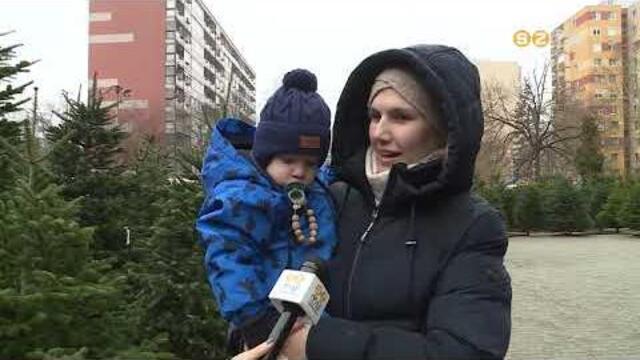 A nordmann marad a legn�pszer�bb kar�csonyfafajta, de �j fajt�kat is pr�b�lnak a termel�k