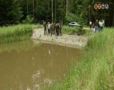 Az erd�szet is t�r�dik a kl�m�nkkal