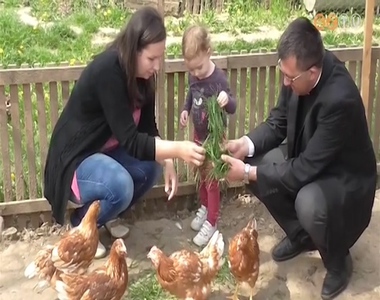 Csirk�t osztott a karit�sz