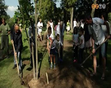 Elültették a város első Születések Fáját Elültették a város első Születések Fáját