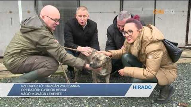 rkbefogad napot szervezett a kzterlet-felgyelet