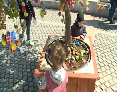 Toj�sf�k d�sz�tik a F� teret