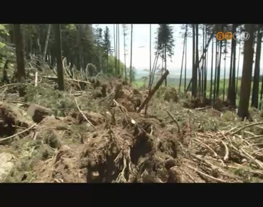 Komoly k�rokat okozott a K�szegi-hegys�gben m�rcius k�zep�n az er�s sz�l