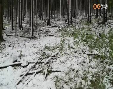 Havazott a Kőszegi-hegységben Havazott a Kőszegi-hegységben