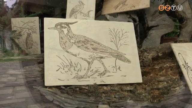 Kiállítás az arborétumban Kiállítás az arborétumban