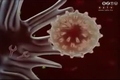 A Hepatitis világnapja