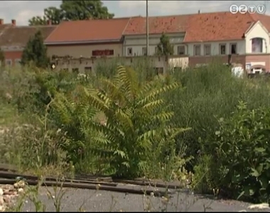 Parlagf� elleni v�dekez�s