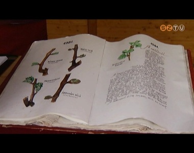 Szellemi Kultur�lis �r�ks�g Nemzeti Jegyz�ke