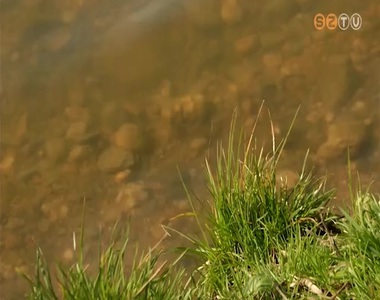 Elt�nt a h�n�r az Ab�rt II. t�b�l