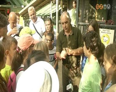 Sz�kelyf�ldi gyerekek vend�gs�gben a Szombathelyi Erd�szetn�l