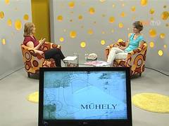Műhely - 2017. augusztus 8.