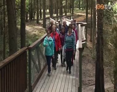 A Jeli Napon vehették birtokba a kirándulók a Lombkorona sétányt A Jeli Napon vehették birtokba a kirándulók a Lombkorona sétányt