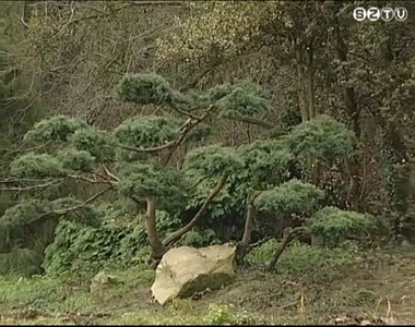Megújul a kámoni arborétum