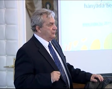 Chikán Attila a válságkezelésről Chikán Attila a válságkezelésről