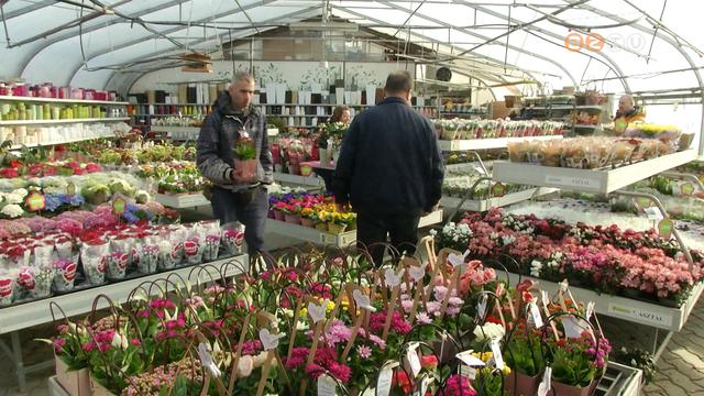 Március 8. nemzetközi nőnap, ilyenkor világszerte a hölgyeket köszöntik Március 8. nemzetközi nőnap, ilyenkor világszerte a hölgyeket köszöntik