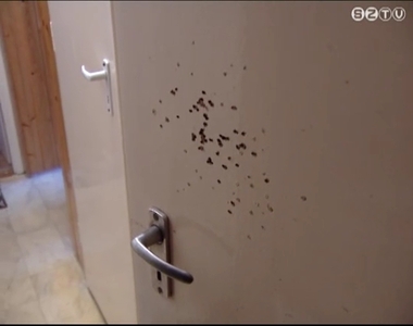 Tiszt�t�s k�zben s�lt el a vad�sz fegyvere