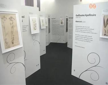 F�ldi vir�gegyetem c�mmel ny�lt ki�ll�t�s a Savaria M�zeumban