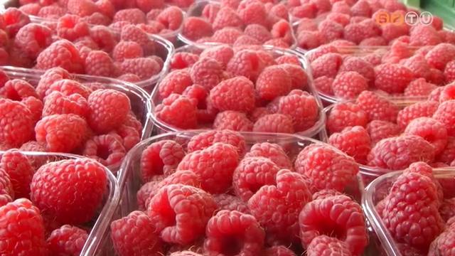 Nyári piaci körkép Nyári piaci körkép