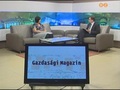 Gazdas�gi magazin - 2012. december 19.