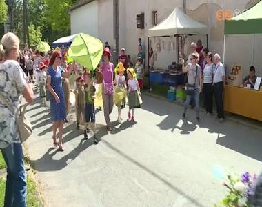 Virágba borult két napra Szombathely herényi városrésze Virágba borult két napra Szombathely herényi városrésze