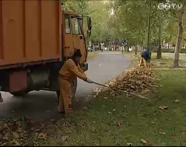 Takarítják a faleveleket városszerte