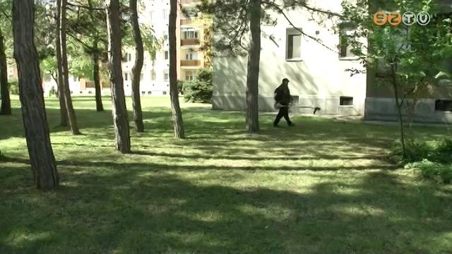 Nem állnak le a tavaszi parkfenntartási munkálatok Nem állnak le a tavaszi parkfenntartási munkálatok