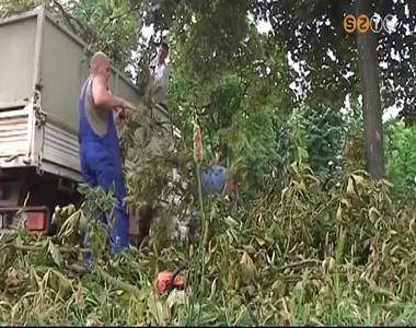 Fametsz�sre v�r javaslatokat a parkfenntart�