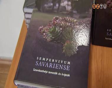 Benk� S�ndor k�peib�l ny�lt ki�ll�t�s a Berzsenyi-k�nyvt�rban