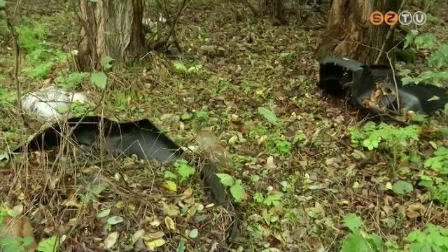 A főutak és a települések melletti erdőrészek a legszennyezettebbek A főutak és a települések melletti erdőrészek a legszennyezettebbek