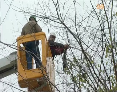 Hamarosan ism�t kigy�lnak a kar�csony f�nyei Szombathely F�ter�n